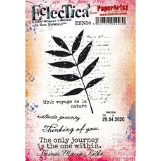 Sara Naumann - Series 50