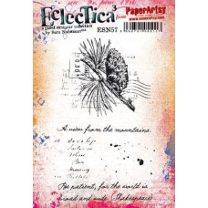 Sara Naumann - Series 57