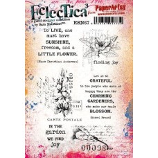 Sara Naumann - Series 67