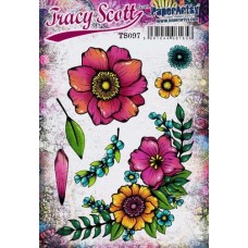 Tracy Scott 97 Tracy Scott 97