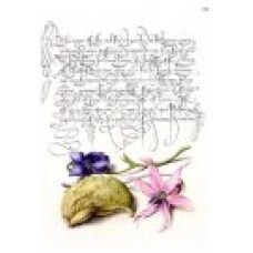 Flower Specimens Rice Paper Flower Specimens Rice Paper