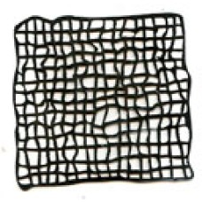 Muslin Silhouette Muslin Silhouette