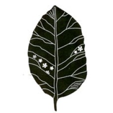 Lined Leaf Stamp Lined Leaf Stamp